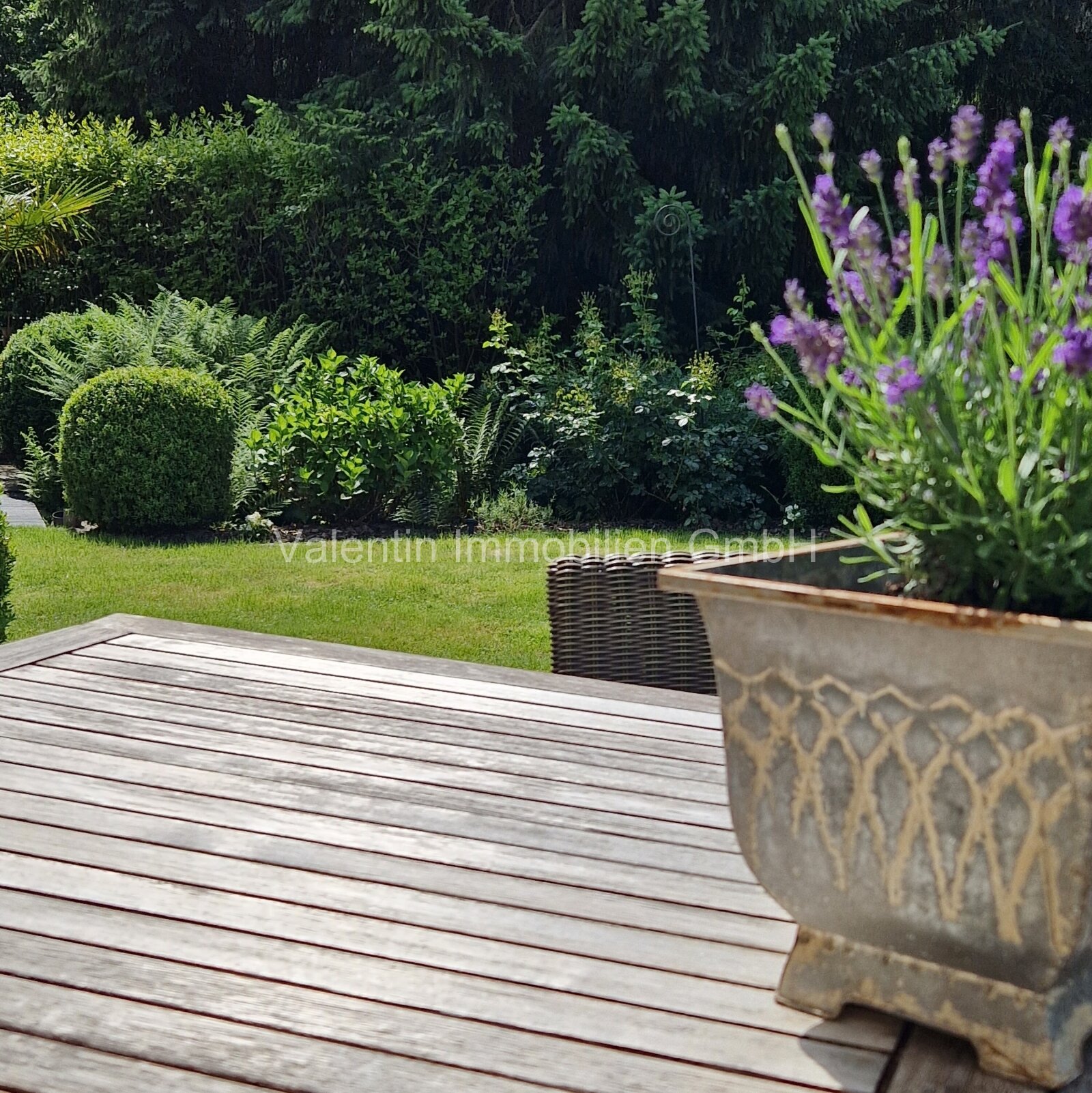 Historische Villa mit Seele, Charakter und ganz viel Herzblut